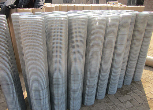 Galvanized welded wire mesh圖片4